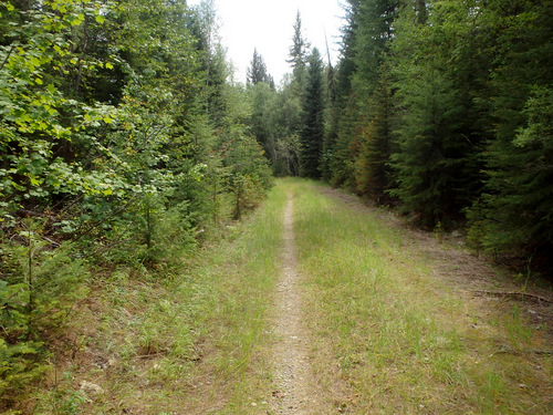 GDMBR: This single track trail was relatively easy; it was uphill.
